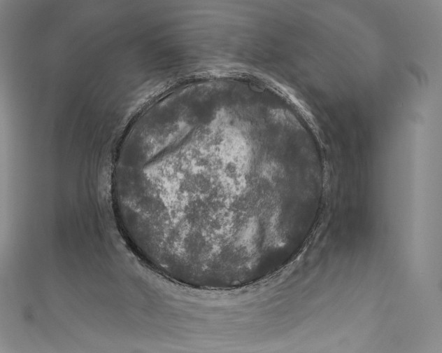 X0000111200010200907221139