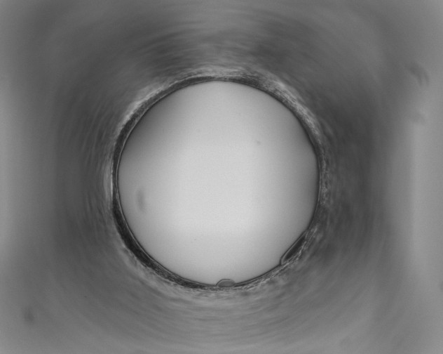 X0000111200011200907221139