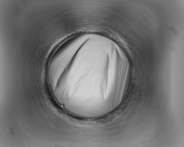 X0000111200012200907221139