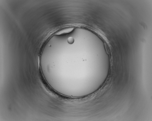 X0000111200013200907221139