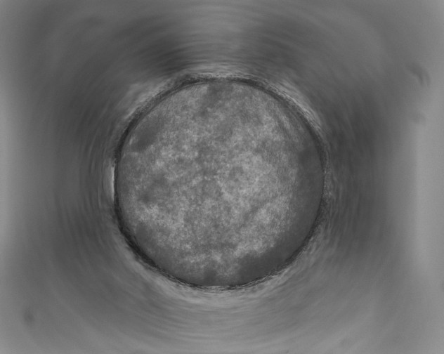 X0000111200014200907221139