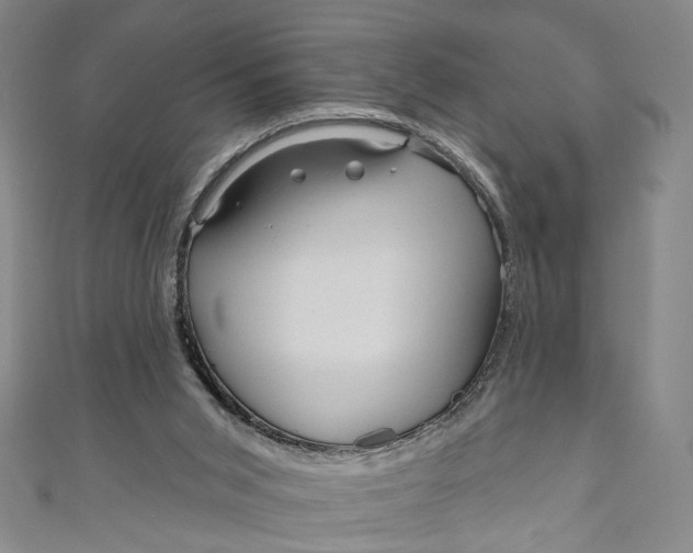 X0000111200015200907221139