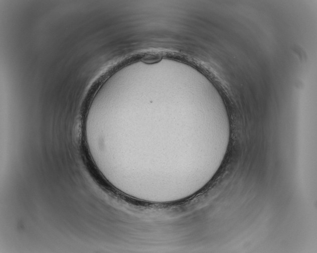 X0000111200016200907221139