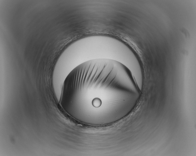 X0000111200017200907221139