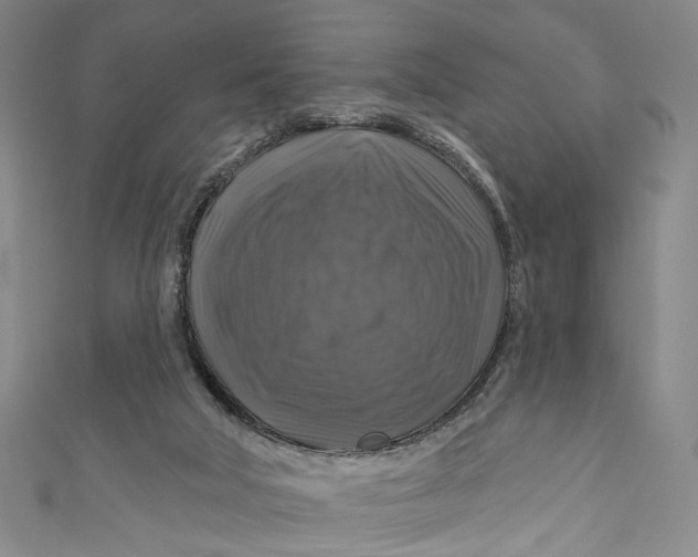 X0000111200018200907221139