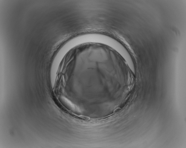 X0000111200019200907221139