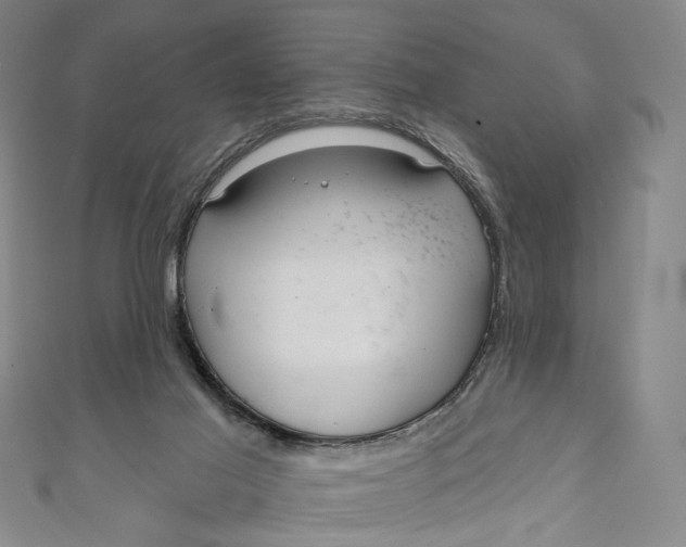 X0000111200021200907221139