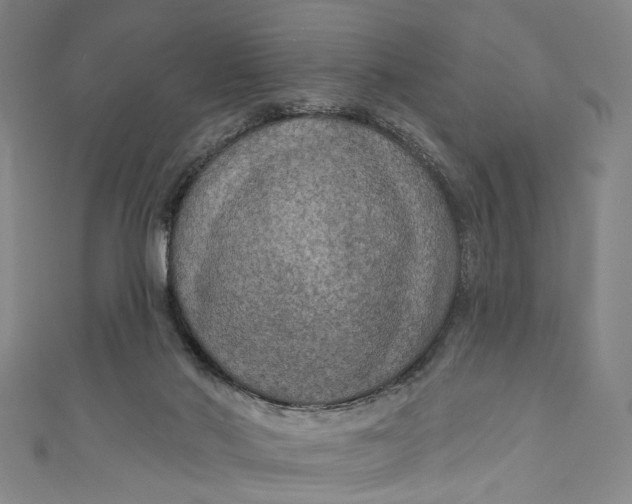 X0000111200022200907221139