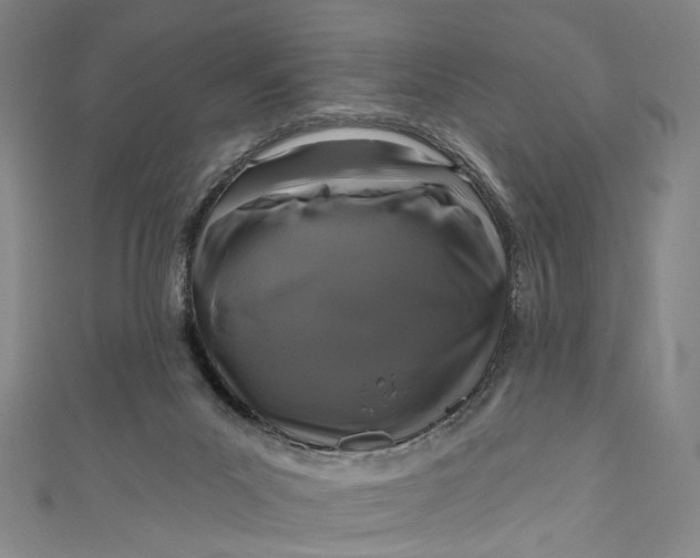 X0000111200023200907221139