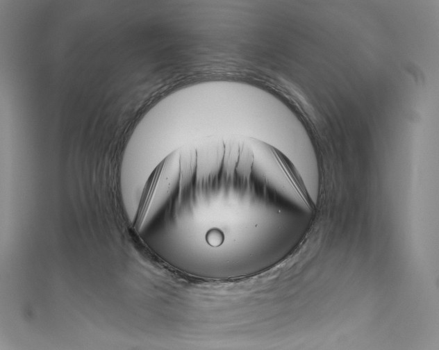 X0000111200025200907221139