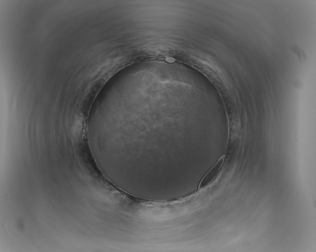 X0000111200029200907221139