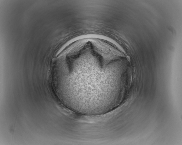 X0000111200033200907221139