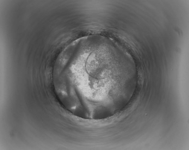 X0000111200034200907221139