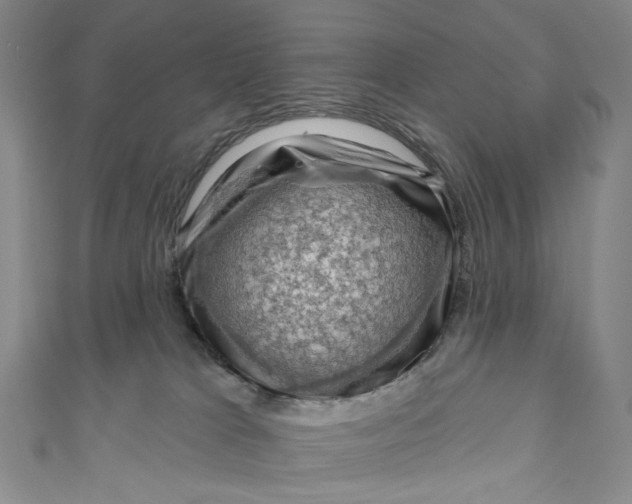 X0000111200037200907221139