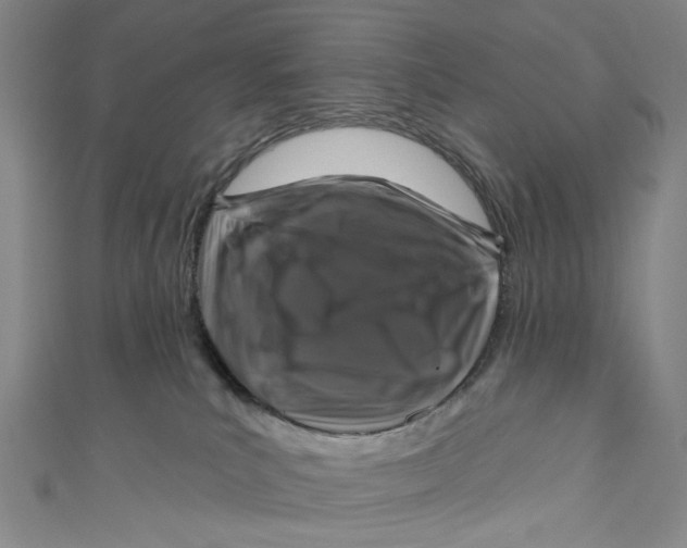 X0000111200039200907221139