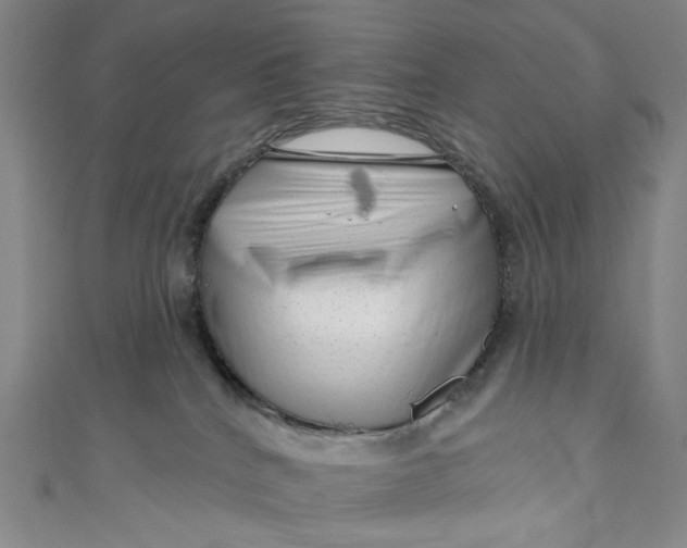 X0000111200040200907221139