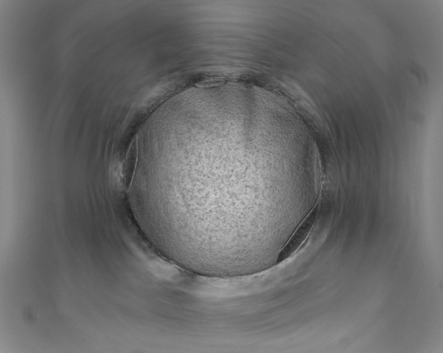 X0000111200045200907221139