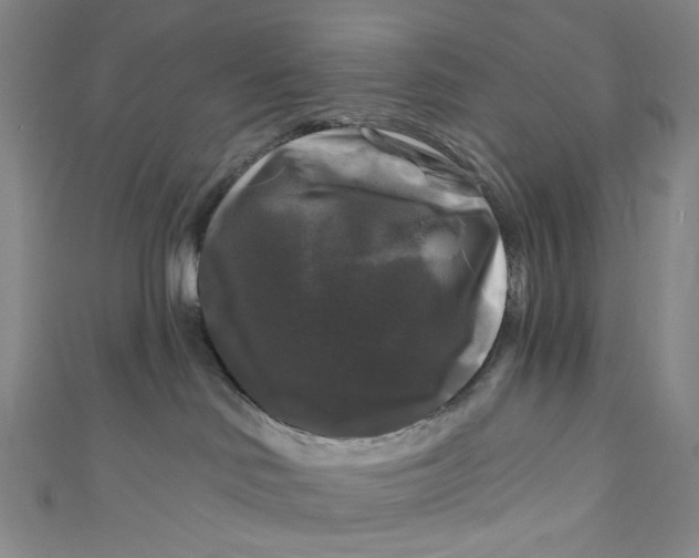 X0000111200046200907221139