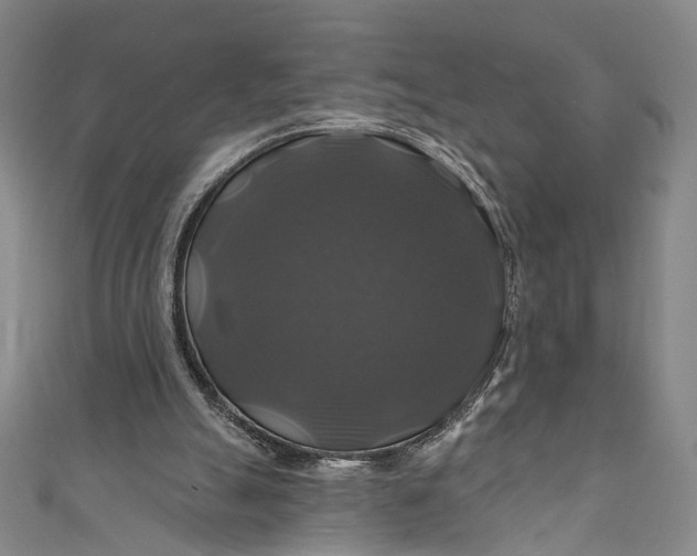 X0000111200055200907221138