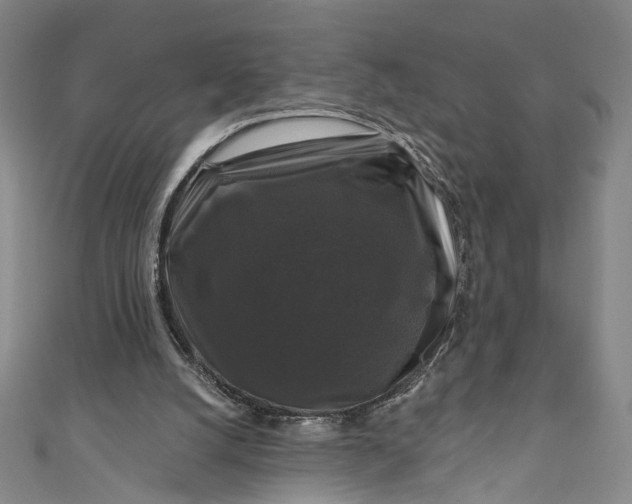 X0000111200056200907221138