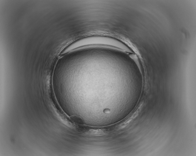 X0000111200057200907221138