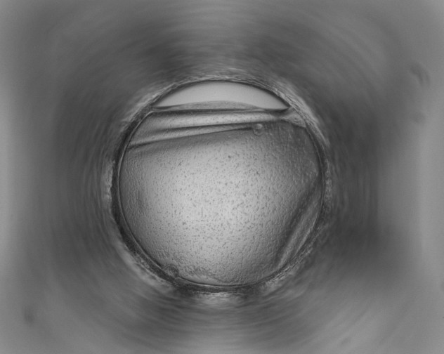 X0000111200058200907221138