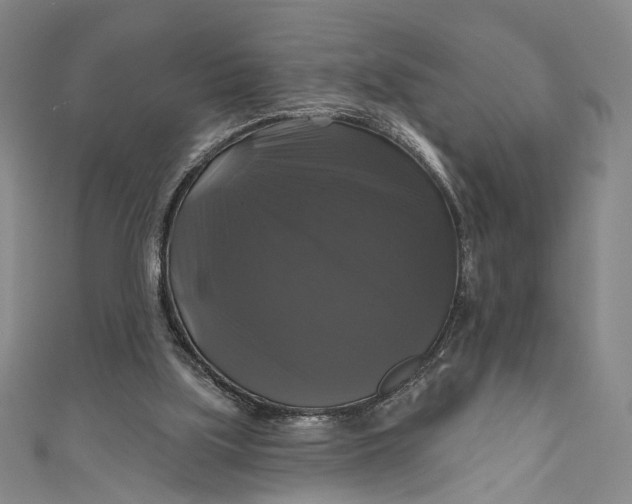 X0000111200059200907221138