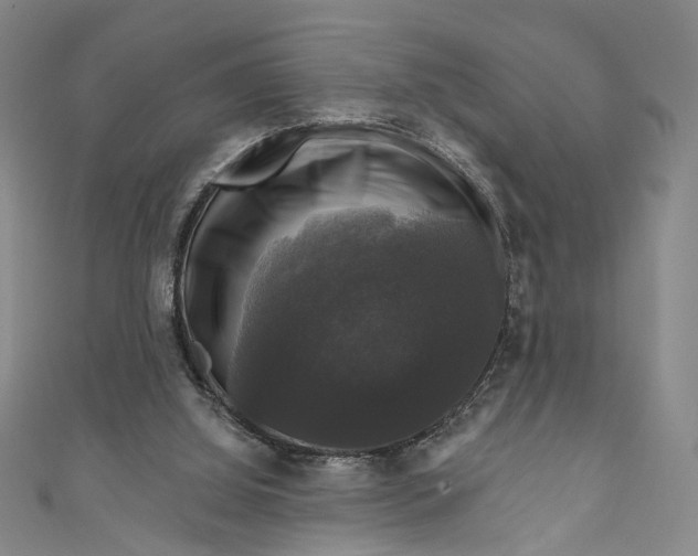 X0000111200060200907221138