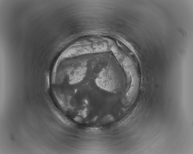 X0000111200061200907221138