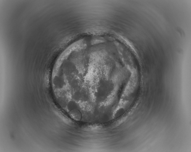 X0000111200065200907221139