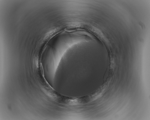 X0000111200068200907221139