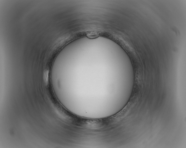 X0000111200070200907221139