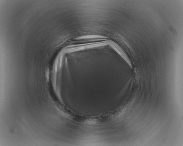 X0000111200076200907221139