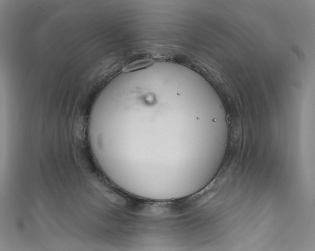 X0000111200078200907221139