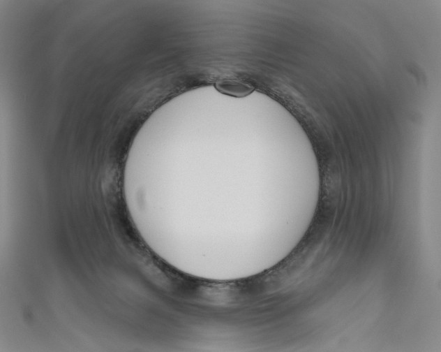 X0000111200079200907221139