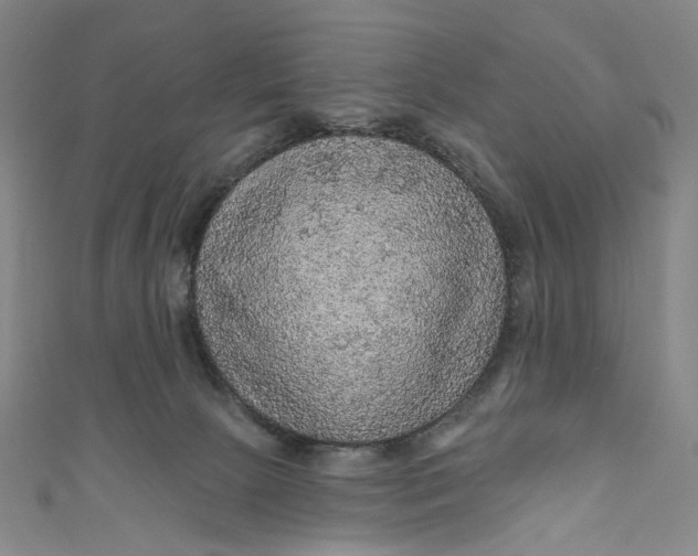 X0000111200081200907221139