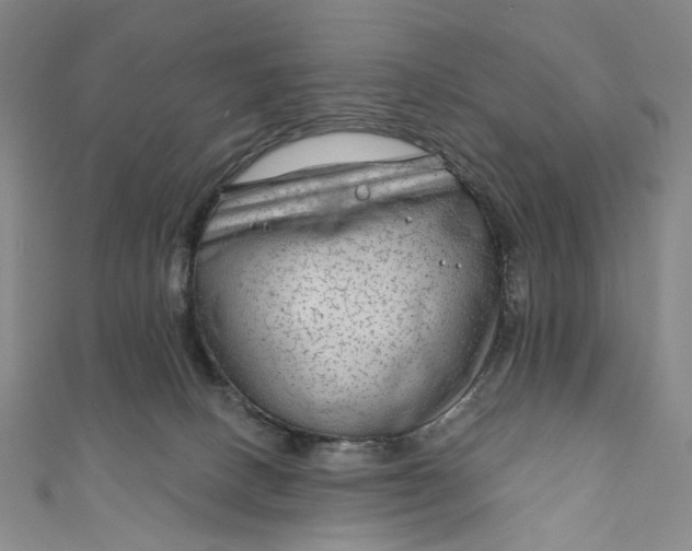 X0000111200082200907221139