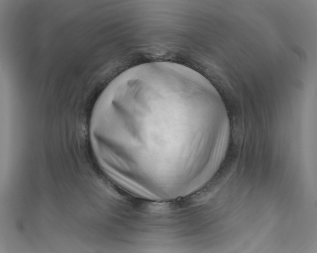 X0000111200085200907221139