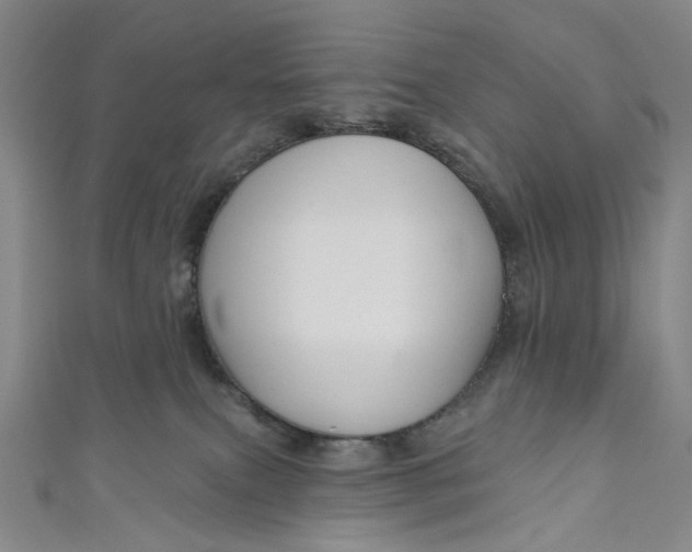 X0000111200087200907221139