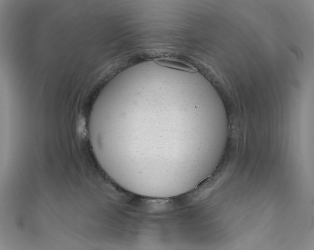 X0000111200089200907221139