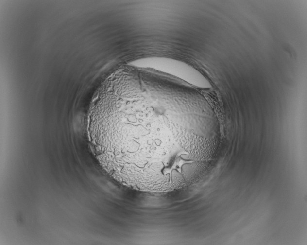 X0000111200093200907221139