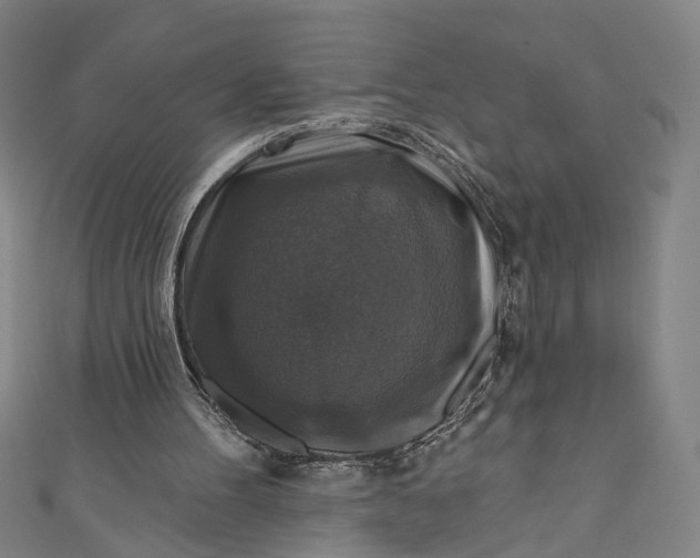 X0000111200100200907221138