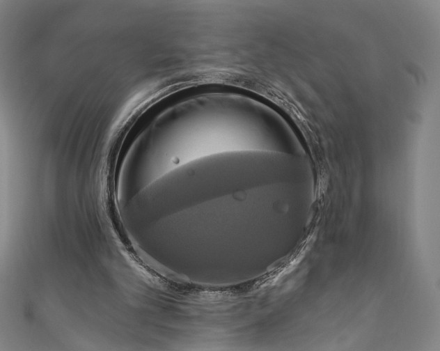 X0000111200101200907221138