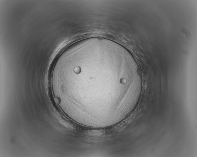 X0000111200102200907221138