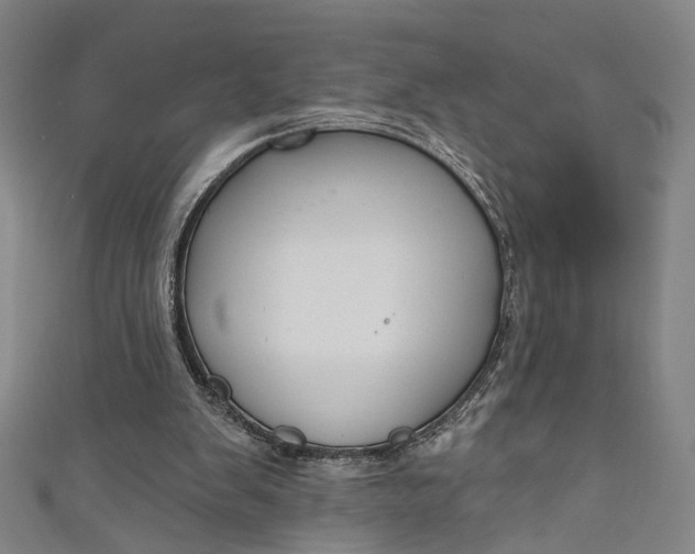 X0000111200103200907221138