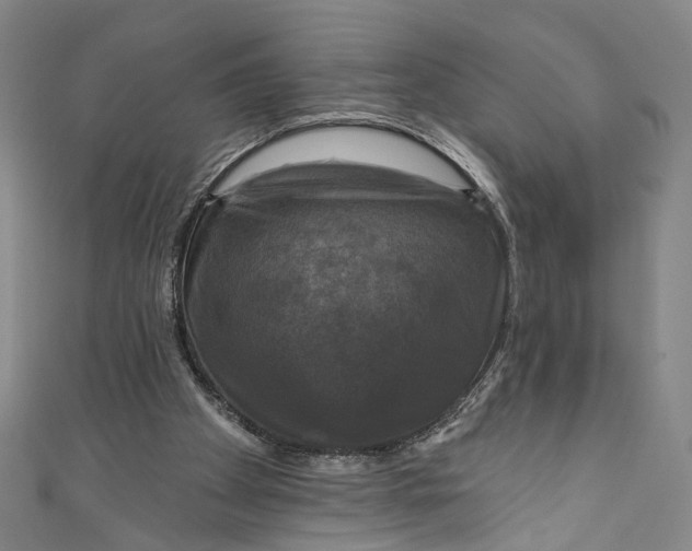 X0000111200105200907221138