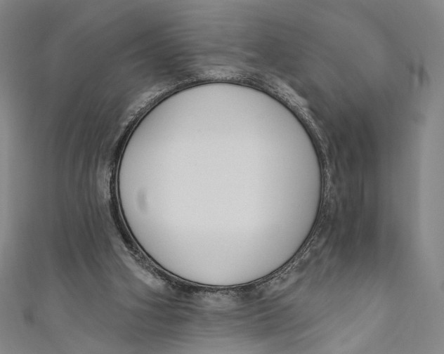 X0000111200106200907221138