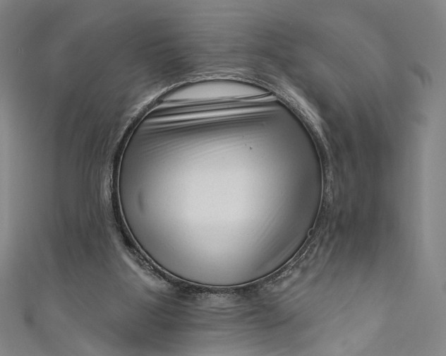 X0000111200107200907221138