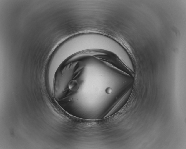 X0000111200108200907221138