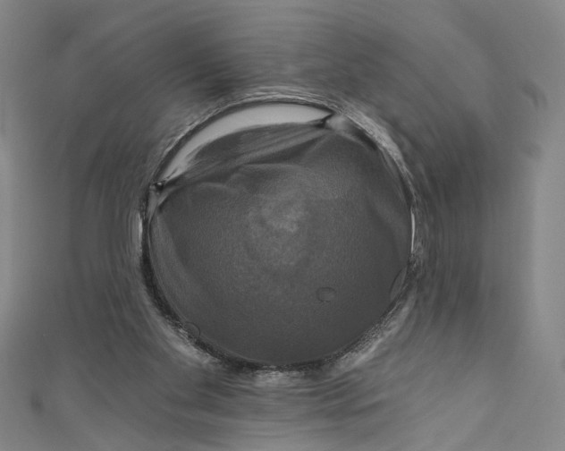 X0000111200109200907221138